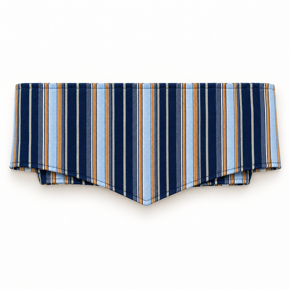 Cinta Reversible