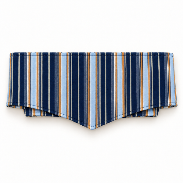 Cinta Reversible