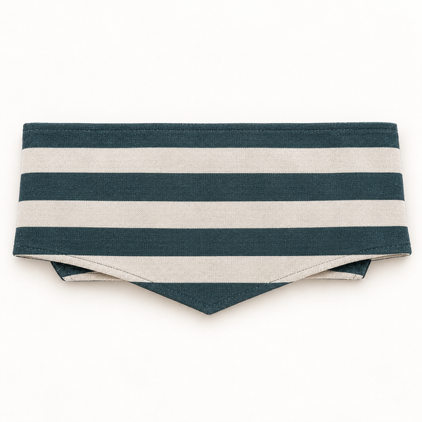Cinta Reversible