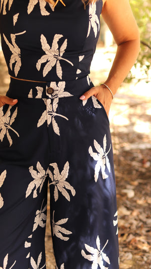 Conjunto “Noite Tropical”